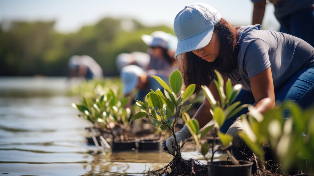 Blush Lux Partners with The GoodAPI to Reforest Madagascar