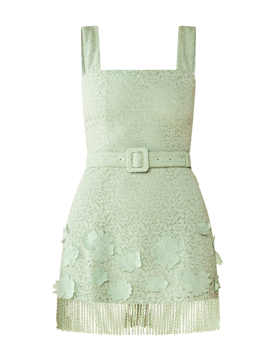 Eddy Sarah Bird Mini Dress