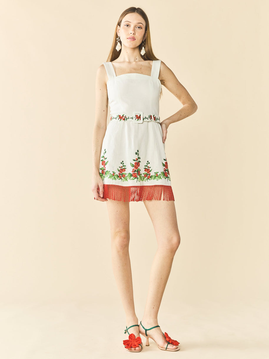 Eddy Sarah Bird Mini Dress X Larsen McDowell
