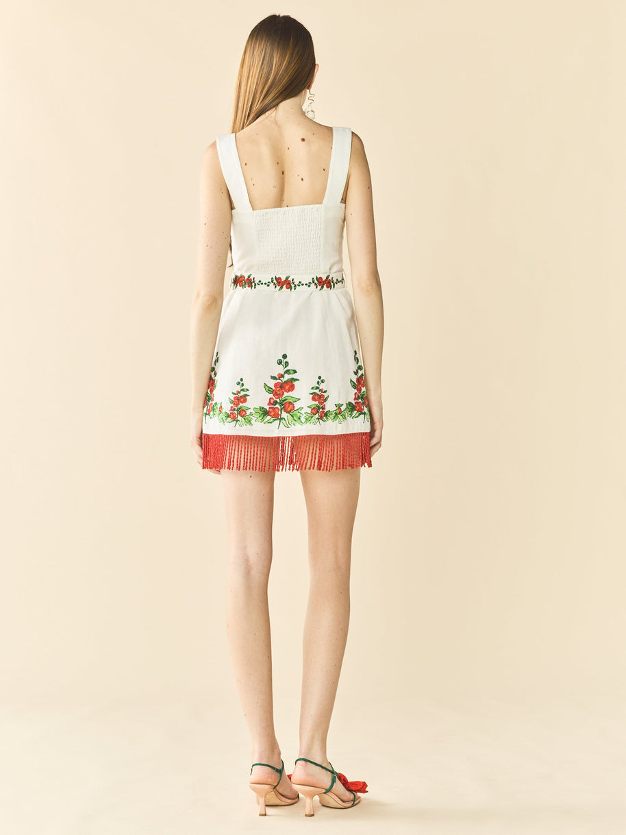 Eddy Sarah Bird Mini Dress X Larsen McDowell