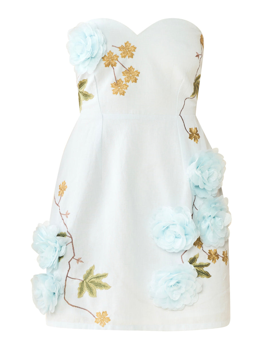Eddy Anais Dress