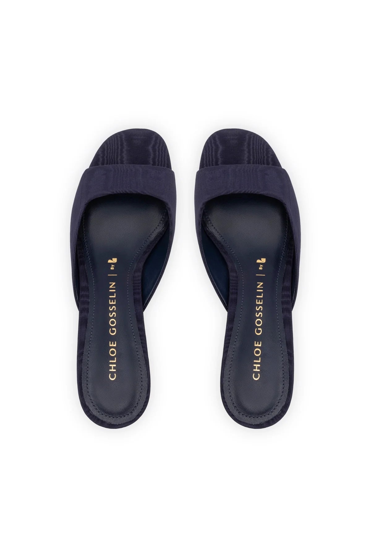 Chloe Gosselin By Larroudé Anah Mule In Navy Fabric