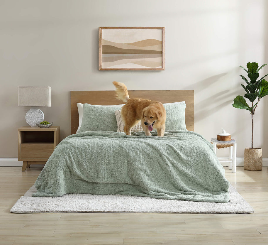 Sunday Citizen Snug + Bamboo Sham Set (more Colors)