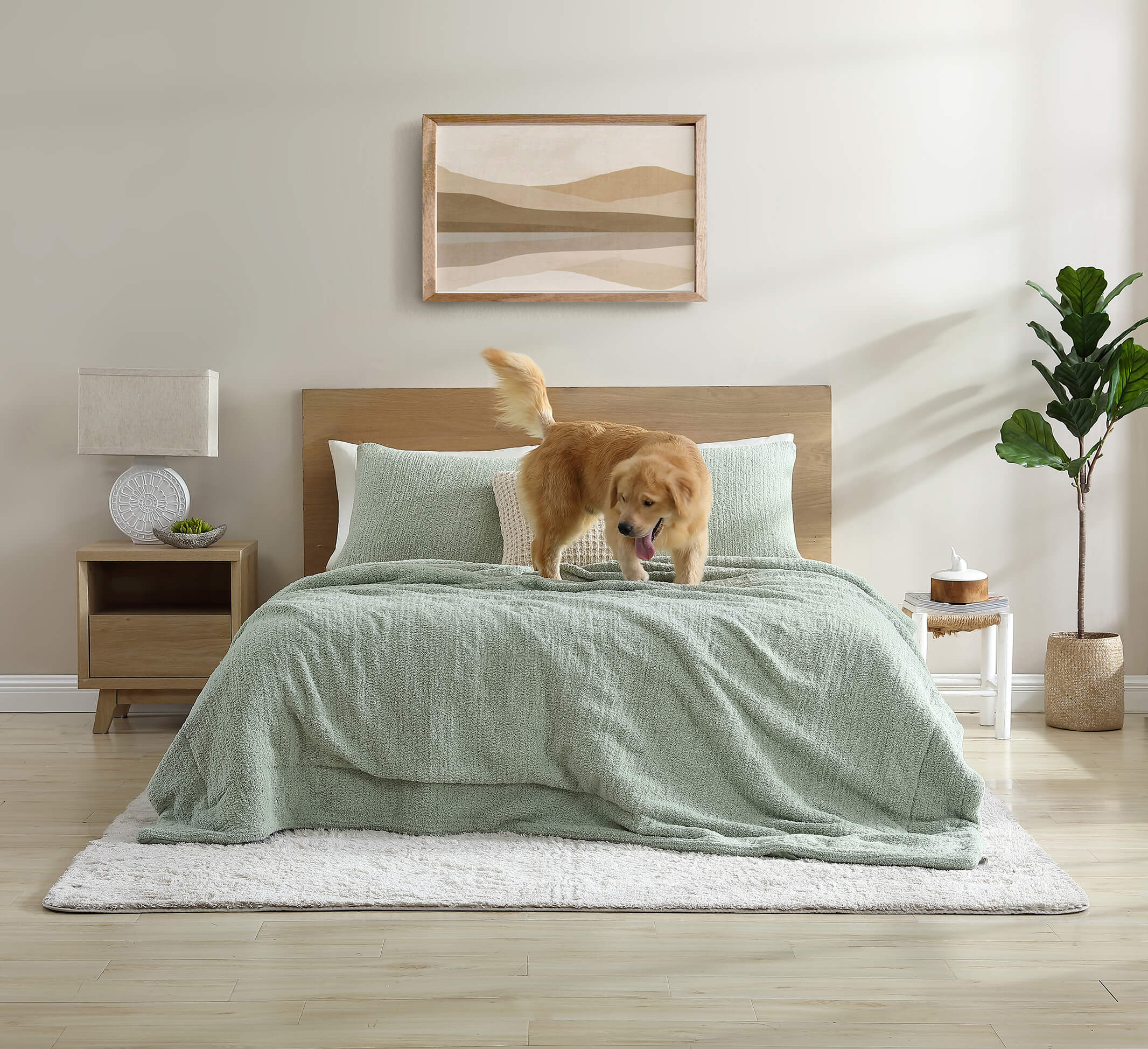 Sunday Citizen Snug + Bamboo Sham Set (more Colors)