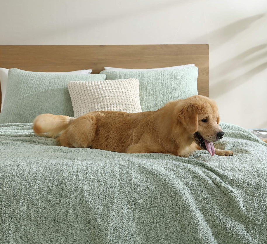 Sunday Citizen Snug + Bamboo Sham Set (more Colors)