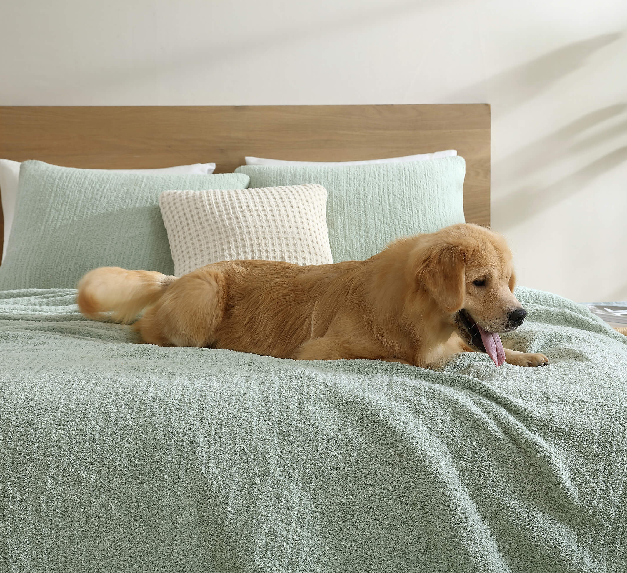 Sunday Citizen Snug + Bamboo Sham Set (more Colors)