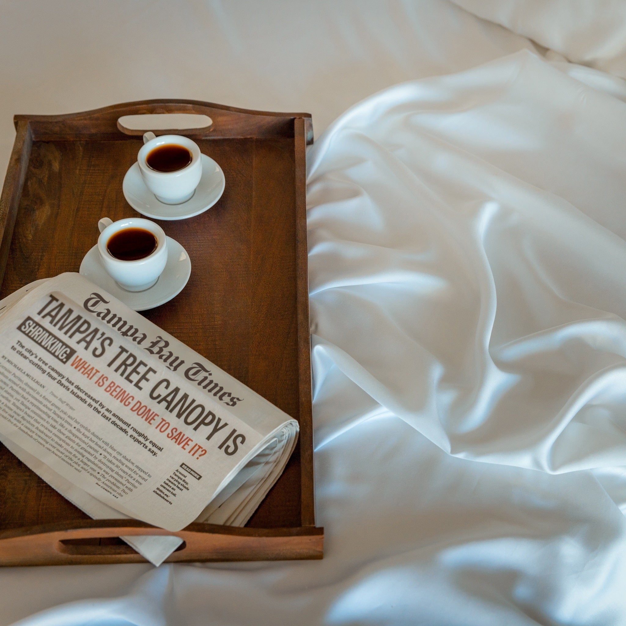 Ecobrands Eucalyptus Silk Sheets – Cooling, Breathable & Hypoallergenic | Luxury Comfort