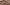 Embracing the Warmth of Mocha Mousse: Pantone's 2025 Color of the Year