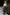 KiraGrace HIGH WAIST WIDE LEG PANT: OLIVE TWEED