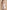 01d84325-620c-41ff-a2a2-65781bf82453-Max-Origin