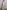 04a46978-411b-4265-bd6c-087d1ec74e5a-Max-Origin