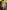 06088a2d-6382-47d2-bac8-2fb0d65c0002-Max-Origin