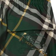 Burberry Check Trousers In Green