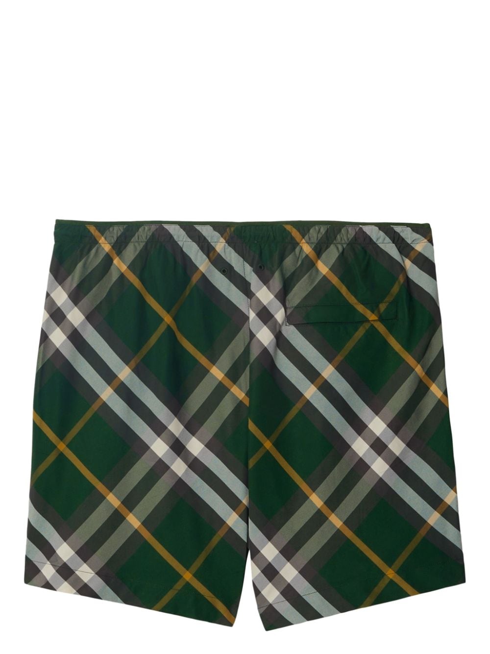 Burberry Swim Shorts In Green
