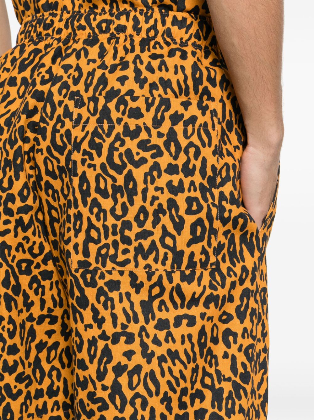 Palm Angels Leopard Print Shorts Orange