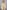 115d8810-4a92-48b2-b6bf-dd2864a50645-Max-Origin