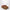 UGG Tazz Chestnut Suede Slipper