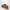 UGG Tazz Chestnut Suede Slipper
