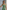 Gianine NATALIE SAGE GREEN Activewear Crop Top