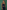 Gianine NATALIE NAVY Activewear Crop Top