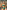 Gianine JACKIE GREEN SHINE Brazilian Bikini Bottoms