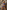Gianine MELINA BLUE SHINE  Bikini Bottom. Full & Brazilian