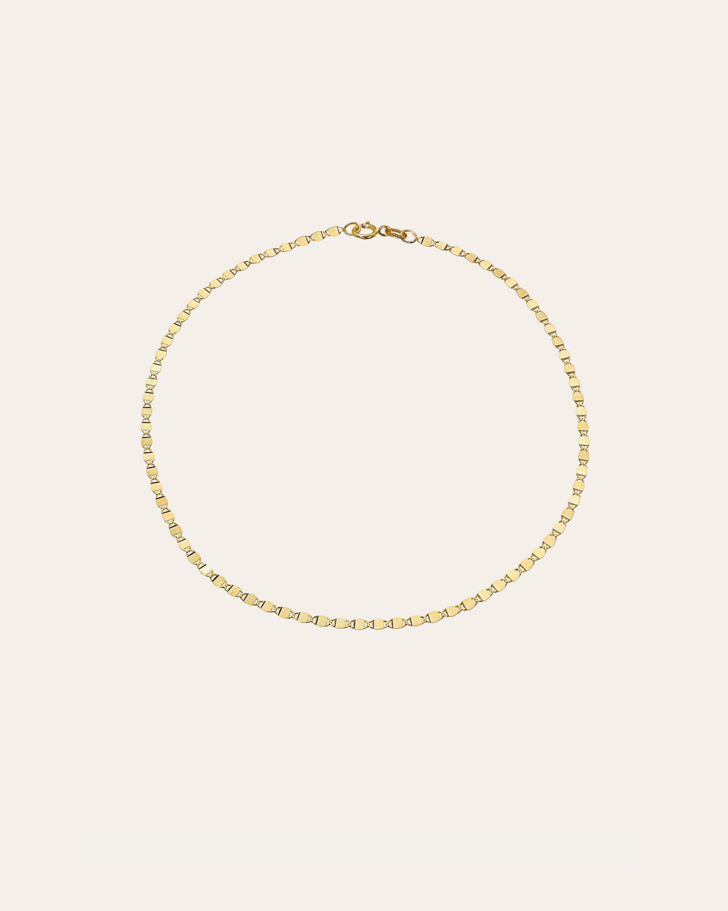 Zoe Lev 14k Gold Mirror Chain Anklet