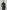 KiraGrace GRACE TURTLENECK: LODEN