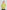 KiraGrace WIDE V-NECK TOP: CHARTREUSE