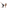Gianine NINA BLACK High Waist Activewear Capri Legging