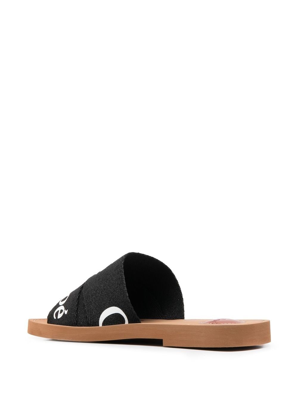 Chloe Woody Logo Slides