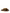Stella McCartney Leopard Print Slide Sandals