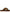 Stella McCartney Leopard Print Slide Sandals