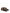 Valentino Garavani Vlogo Signature Fisherman Sandal In 20mm Calfskin