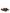 Gianvito Rossi Leopard Slip-on Loafers