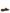 Gianvito Rossi Leopard Slip-on Loafers