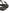 MM6 Maison Margiela Black Leather Pumps