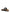 Birkenstock Arizona Buckled Suede Sandals