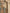 Burberry Chelsea Cotton Trench Coat - Beige