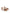 Jimmy Choo Joa Canvas Flat Sandals Leather Brown