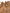 Jimmy Choo Bon Bon Leather Bucket Bag - Brown