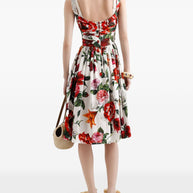 Dolce & Gabbana Floral-print Midi Dress