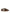HOGAN PRE Hogan Cool Leather Sneakers - Brown