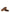 HOGAN PRE Olympia Leather Sneakers - Brown