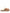 UGG Australia Disquette Slippers - Beige