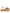 UGG Australia Funkette Slippers - Beige