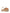 UGG Australia Funkette Slippers - Beige