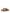 UGG Australia Classic Slip On - Beige