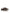 Tod's Leather Sneakers