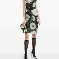Dolce & Gabbana Gardenia-print Chiffon Midi Dress